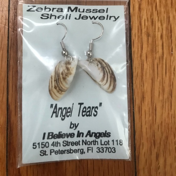 buy, sell, wear: what can you do with zebra mussels?