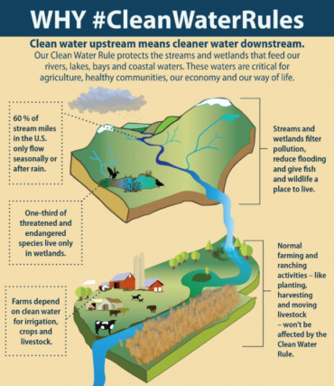 Image courtesy of epa.org