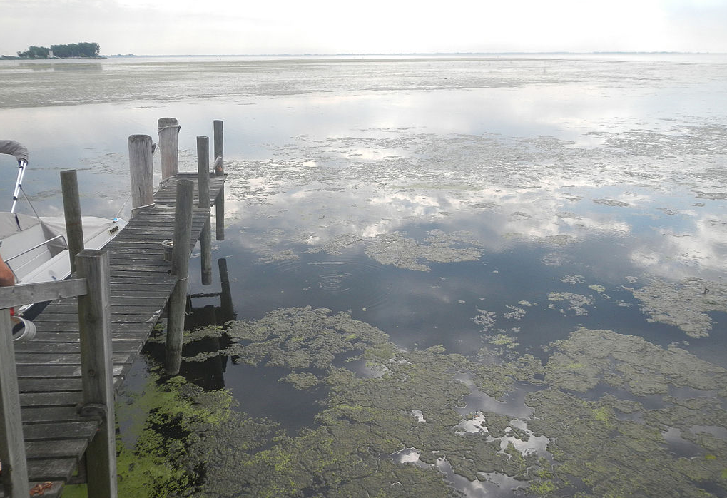 welcome-to-lake-st-clair-where-water-pollution-and-beach-closures