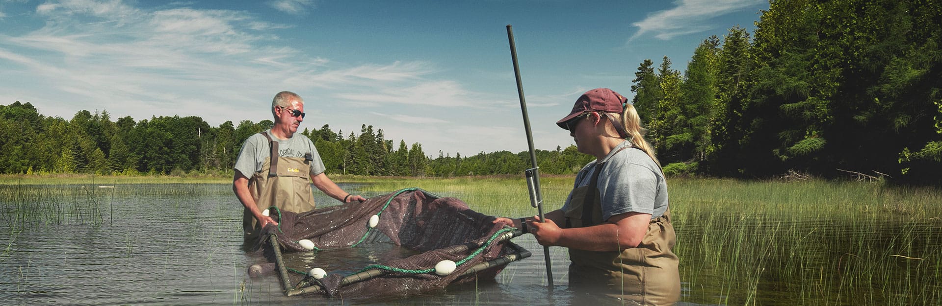 Wetland Wisdom: Documentary looks at breakthrough in Great Lakes wetland research - Great Lakes Now