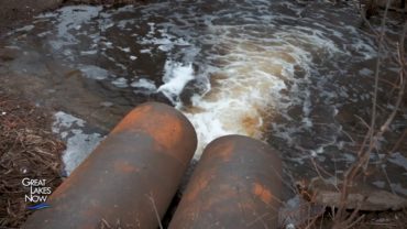 Sewer pipes releasing into a waterway