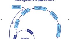 Great Lakes Moment: An ecosystem approach