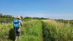 Michigan joins federal program that collects native flora and champions restoration