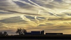 Amish Farmers’ Partnership With Beef Giant Produces Manure Mess