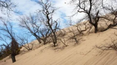 Presenting Atlas Obscura: The Mysterious Sinkholes of Mount Baldy