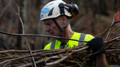 An ecosystem engineer’s vision: mock beaver dams to restore Wisconsin wetlands